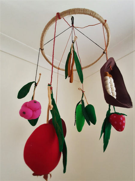 Mobile - Australian Native Fruit and Bugs