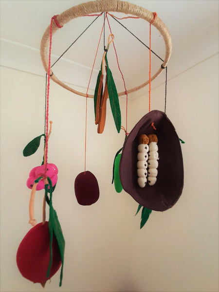 Mobile - Australian Native Fruit and Bugs