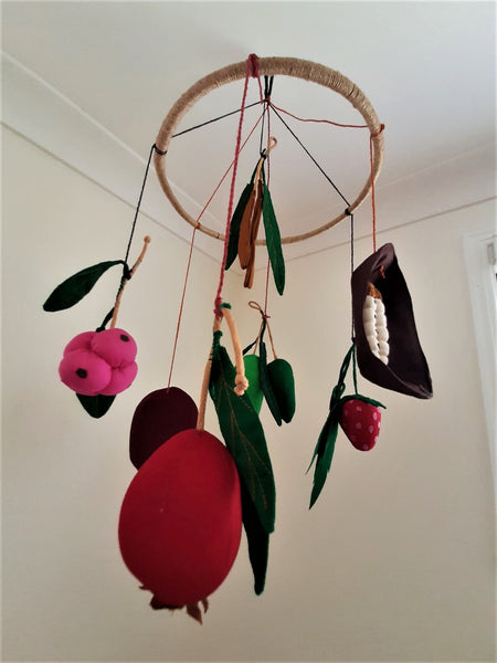 Mobile - Australian Native Fruit and Bugs