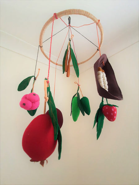 Mobile - Australian Native Fruit and Bugs