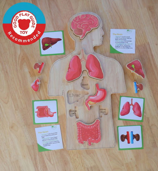 Human Anatomy Puzzle