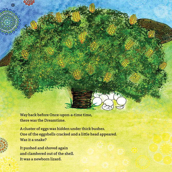 Book - Turbo Turtle by Greg Dreise