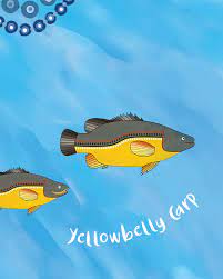 Book - Fast Fish