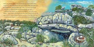 Book - Sky Country